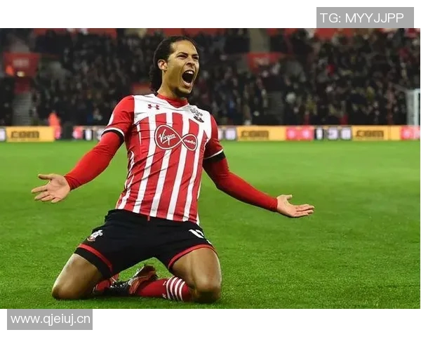 英超南海岸球队介绍