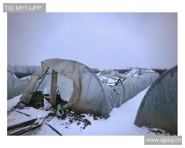 全球气候变化加剧 各国应对措施纷纷出台应对极端天气挑战